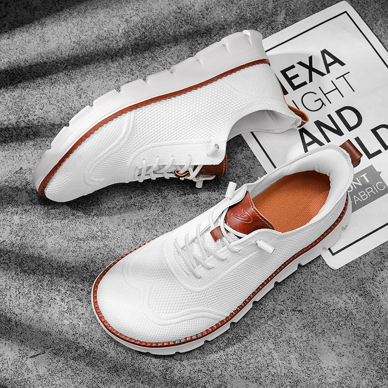 Élégant hommes large boîte cha - Sneaker Case avis et prix